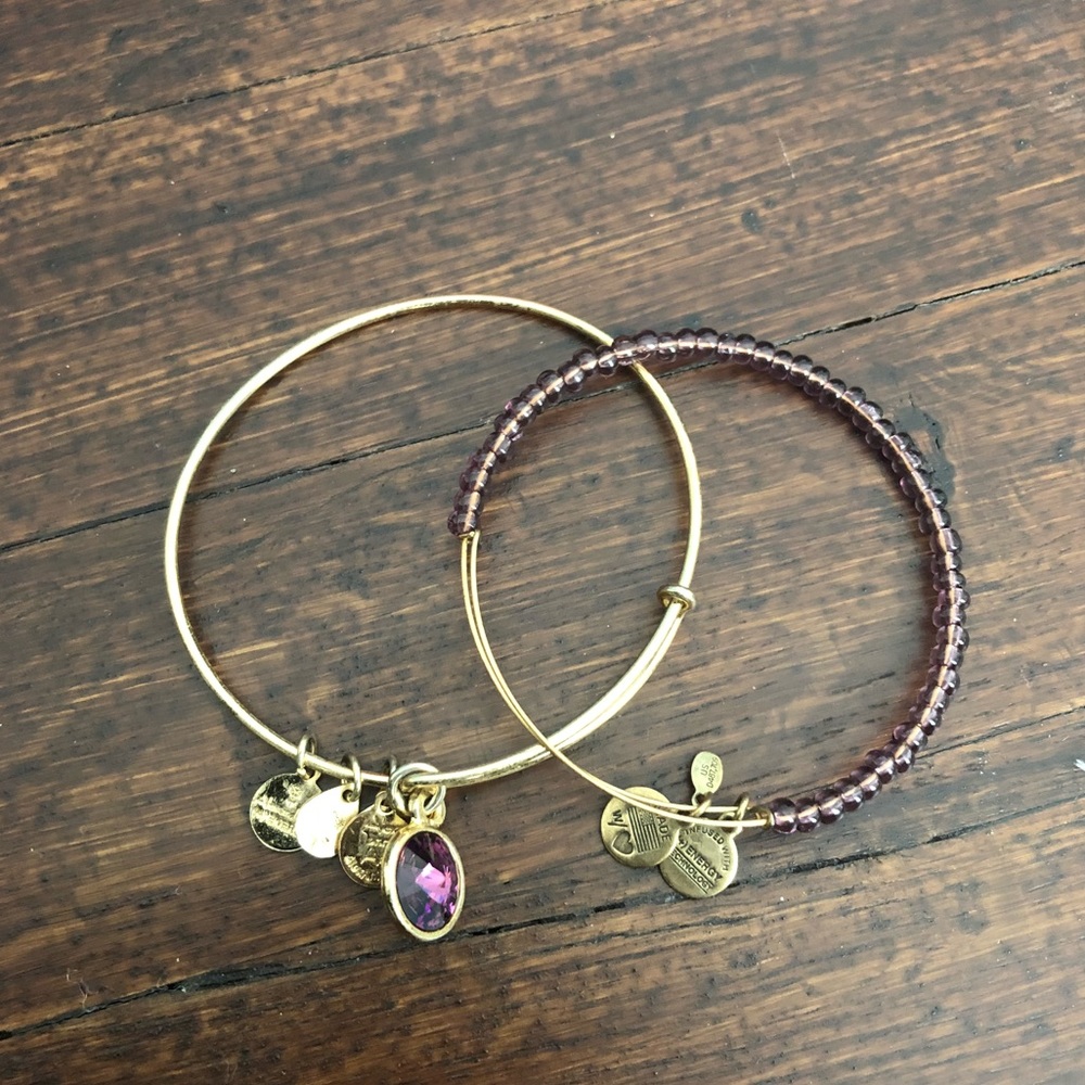 Alex and Ani Bracelet Duo